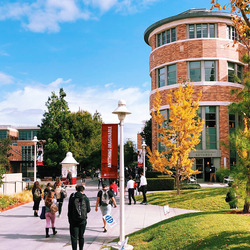 Students walk on the Chapman campus on a bright and sunny day.