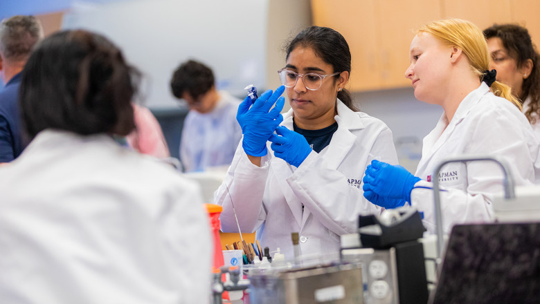 Students working in a lab