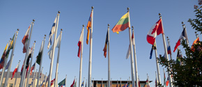 Global Plaza Flags