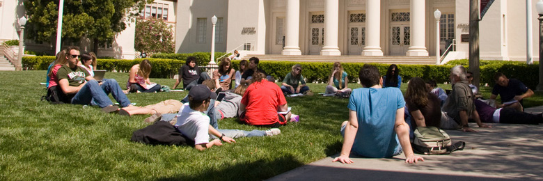 people on lawn