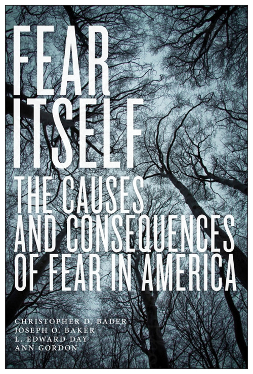 Fear Itself Book Cover