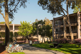 Davis and Harris apartments