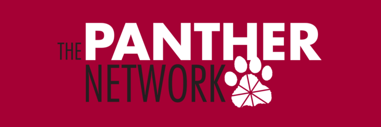 the panther network logo