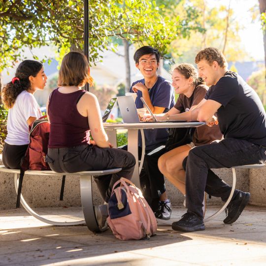 A sunny day on campus