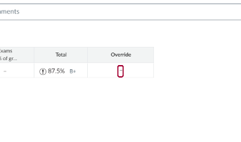 Now, the Override column will appear in the Canvas Gradebook. Click on –