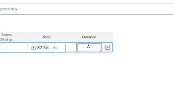 Enter the grade you would like to override.