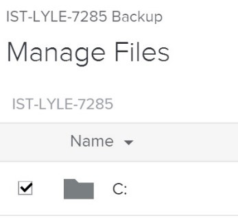 drives listed under Manage Files