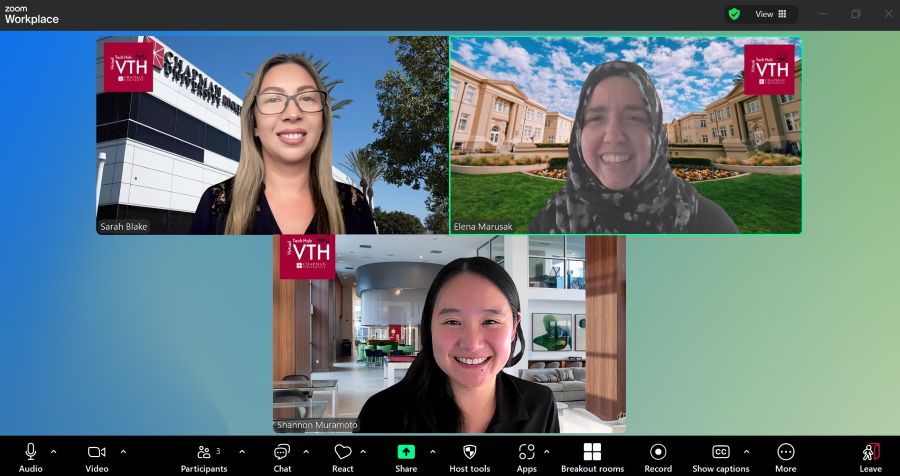 Virtual Tech Hub team
