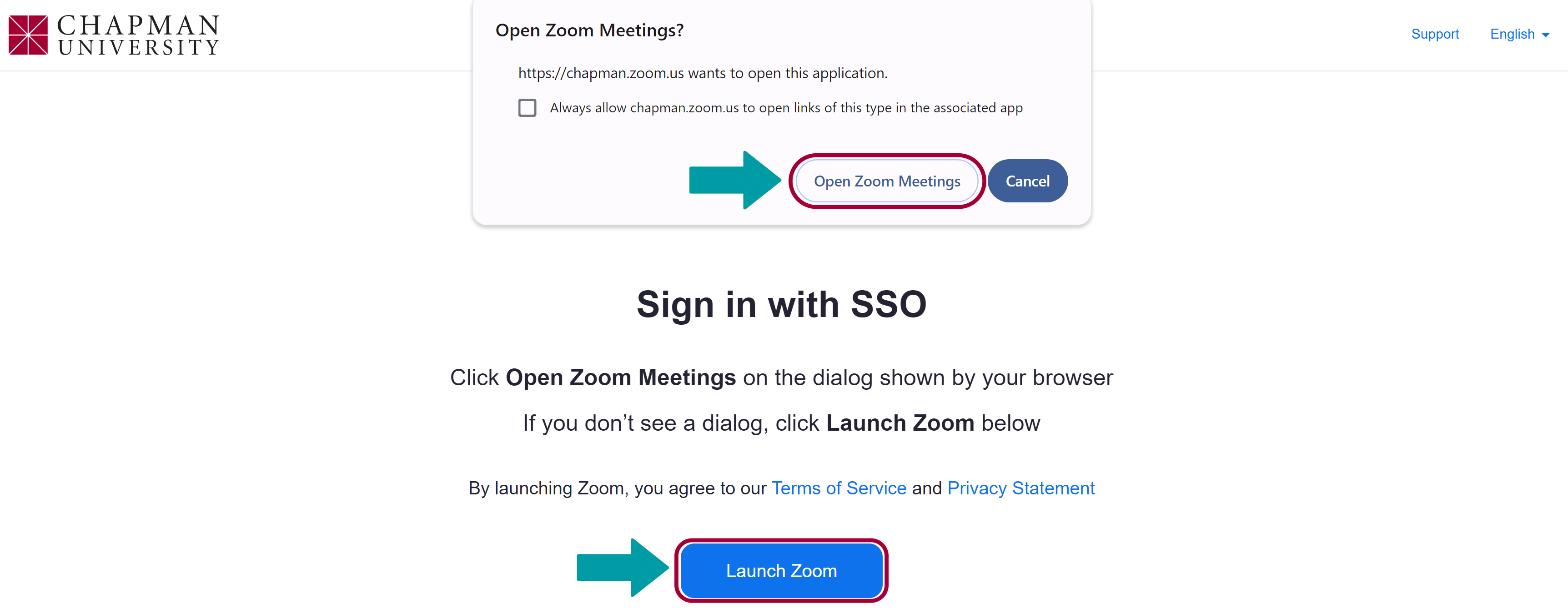 red boxes highlighting both Zoom sign-in options "Open Zoom Meetings" and "Launch Zoom." Green arrows also point to both options for more clarity.