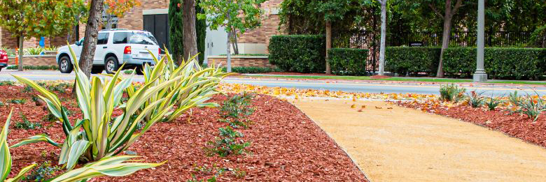 Masthead example image 780 pixels wide