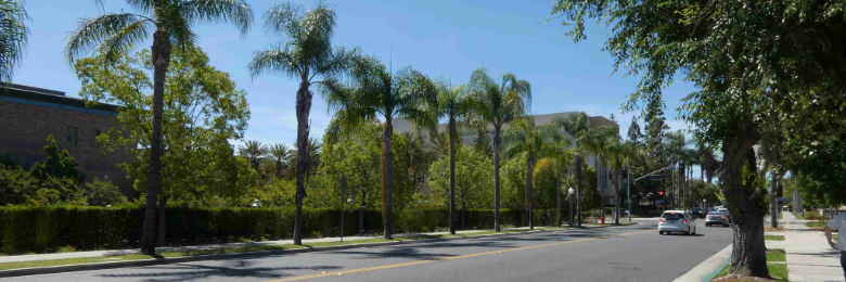 wide angle of bus stop