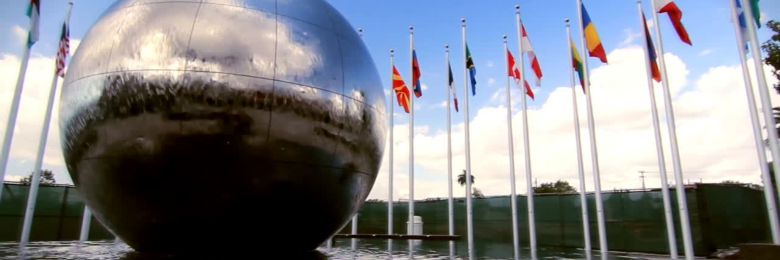 Demographics Flag Master Head