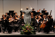 Daniel Alfred Wachs leads the Chamber Orchestra