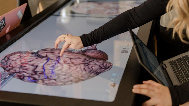 A person's hand (the rest of them is out of frame) points to an image of the human brain