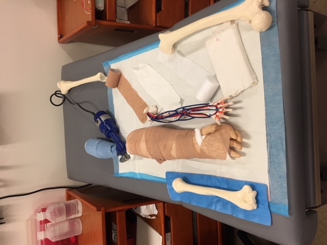 Dry lab upper extremity models with casting materials applied