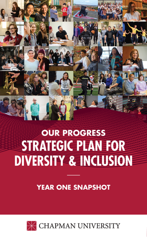 Diversity & Inclusion Strategic Plan Cover