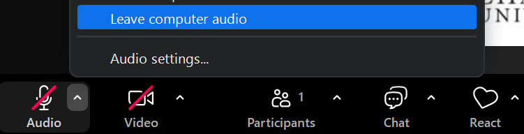 Leaving audio in Zoom