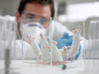 Lab with mice