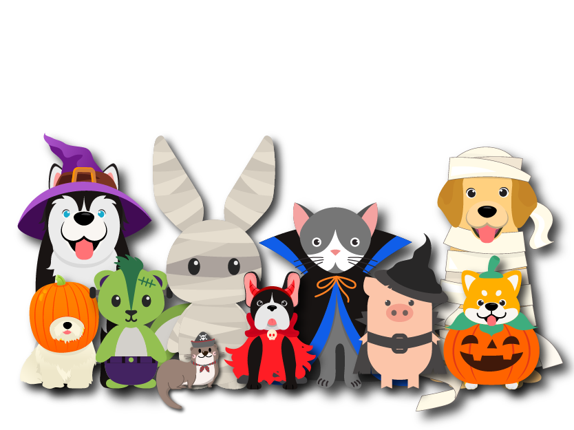 Pets in costumes 