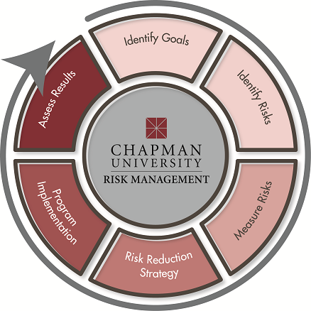chart of the Risk Management process