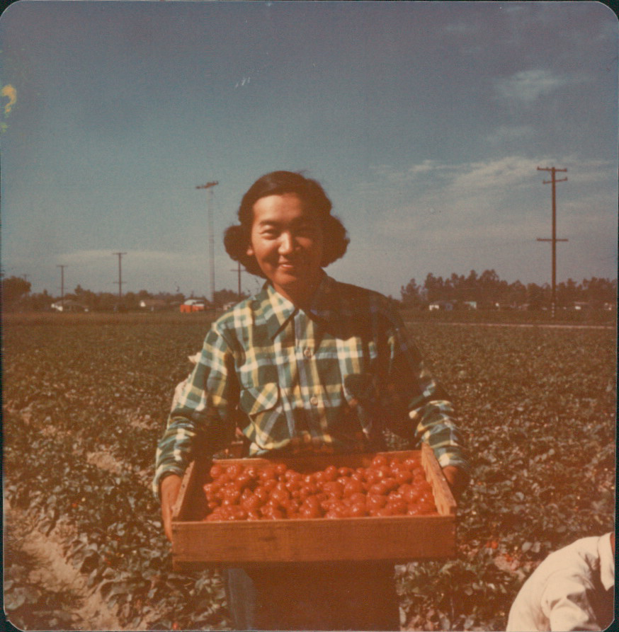 2. Yone Munemitsu, holding a crate of what appear to be strawberries, on her farm in Garden Grove, 1950s. (Munemitsu-Sasaki Family Collection)