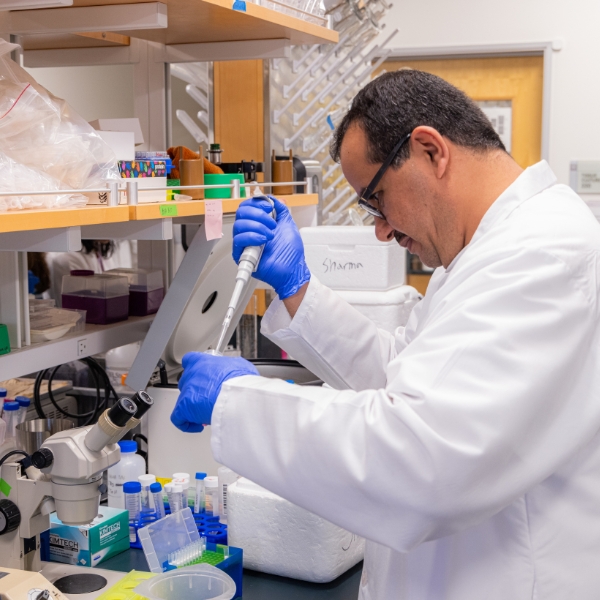 Student works with pipette