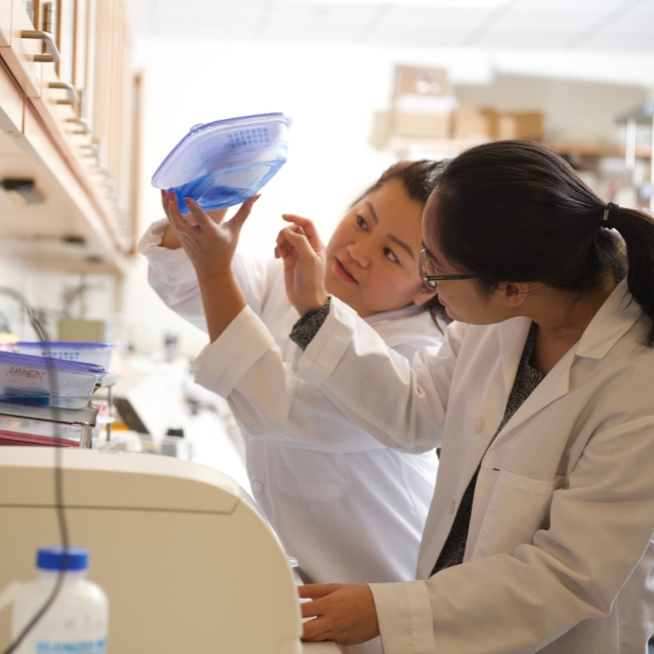 Two students examine samples