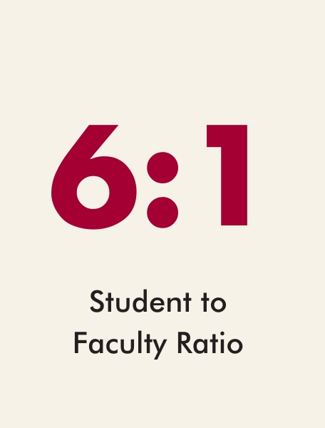 student faculty ratio 