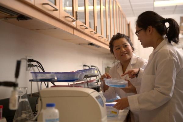 Two pharmacists conducting research