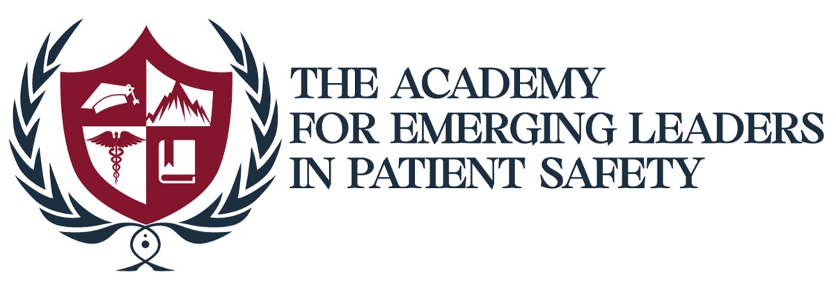 logo of the academy for emerging leaders in patient safety