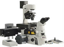 Nikon A1R Confocal Microscope