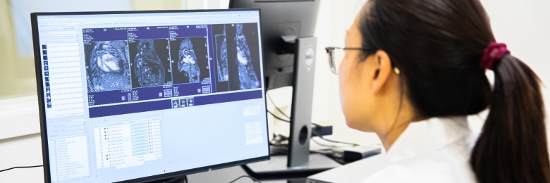 Researcher looking at computer screen