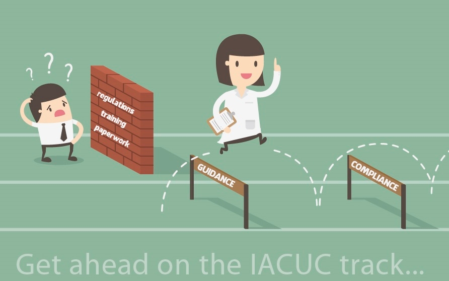 Illustration of regulatory hurdles with the text "Get ahead on the IACUC track"