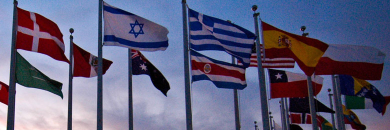 Flags at Chapman