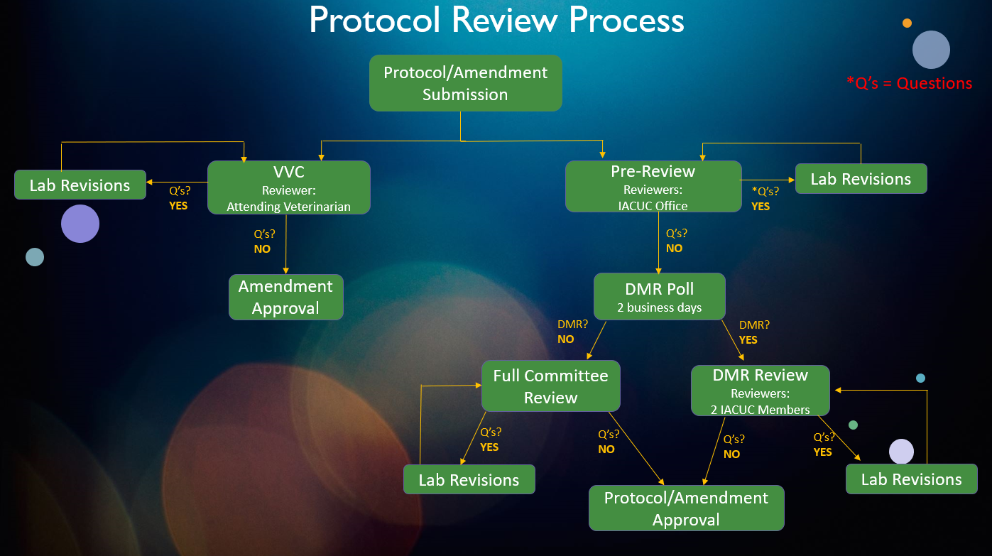 Process map for IACUC protocol review process