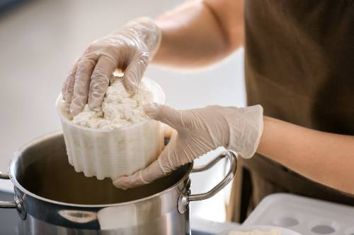 person with gloved hand making ricotta