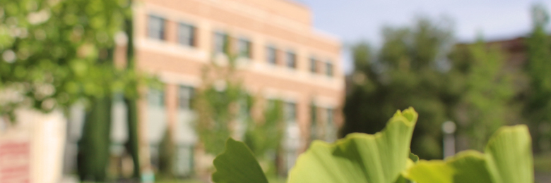 Leatherby Libraries and foliage on campus