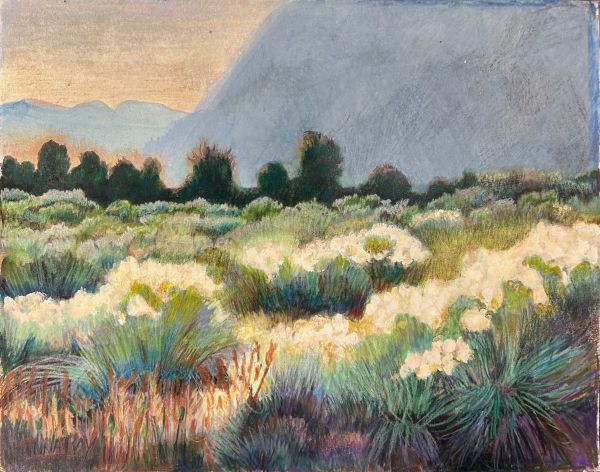 Inna Ray-Rabbit Brush Long Valley