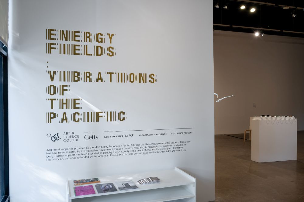 Photo by Christopher Wormald.